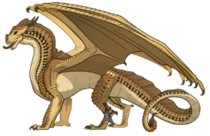 Опік референс.webp