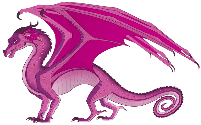 Файл:Орхідея референс.png