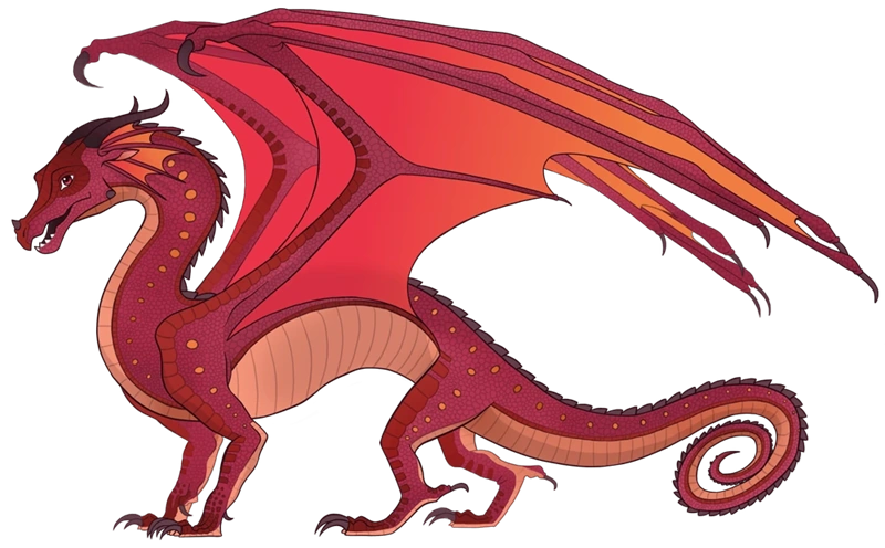 Файл:Бромелія референс.png