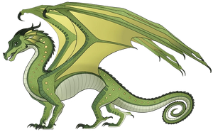 Окос референс.png