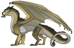 Адюка референс.png