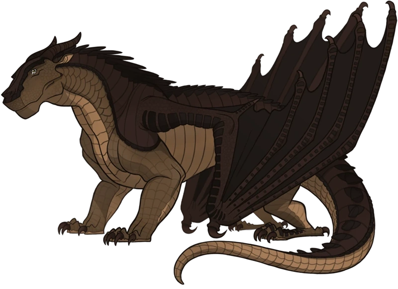 Файл:Крокодила референс.png